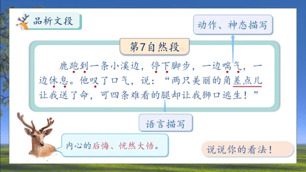 【核心素养】部编版语文三年级下册-7. 鹿角和鹿腿 第2课时（课件）