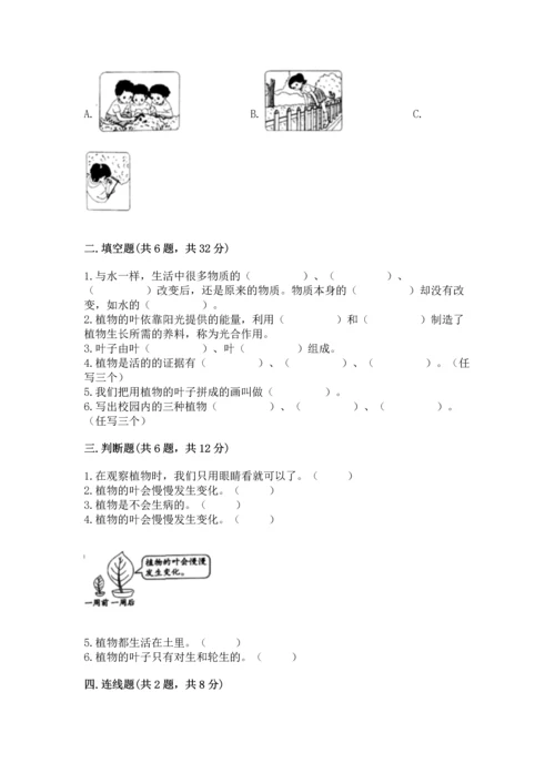 教科版科学一年级上册第一单元《植物》测试卷附参考答案（模拟题）.docx