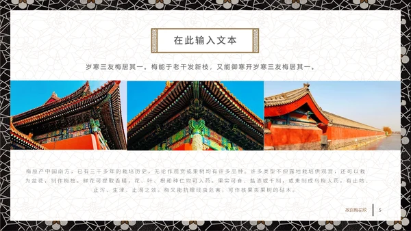 中国古典风梅花纹理宣传通用PPT模板