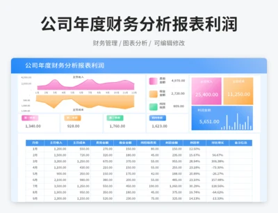 公司年度财务分析报表利润