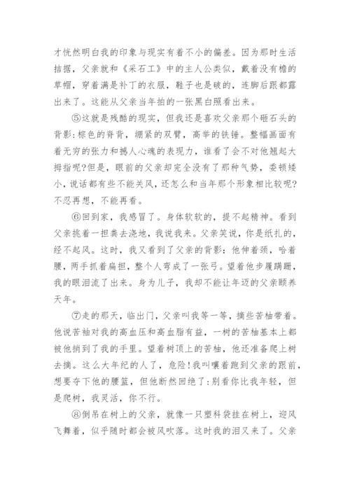 《父亲的背影》阅读答案.docx