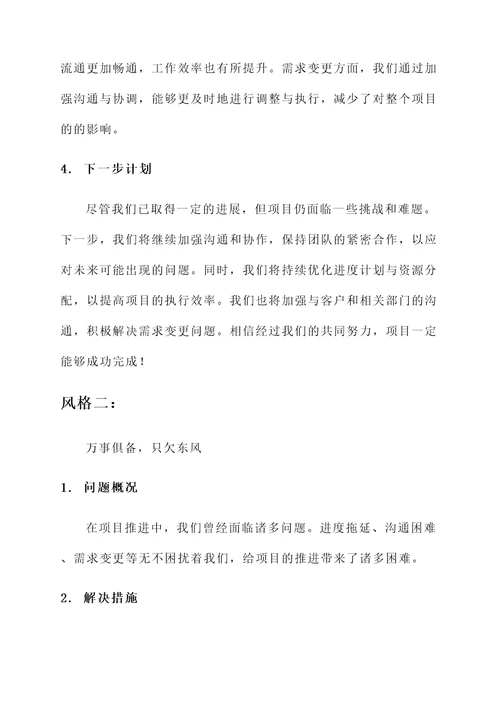 项目问题清理情况汇报