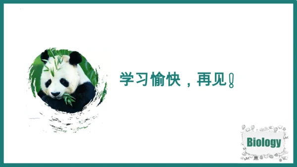 第一单元第三章从细胞到生物体（复习课件）-七年级生物上册同步教学精制课件（人教版2024）(共44张