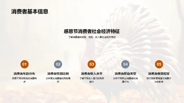 感恩节购物行为洞察