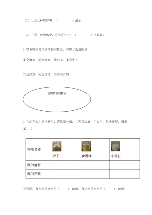 教科版一年级下册科学期末测试卷附答案【轻巧夺冠】.docx
