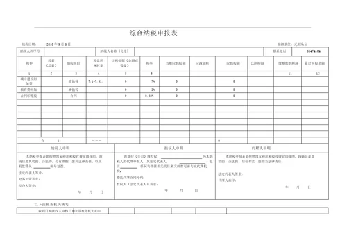 纳税申报表2