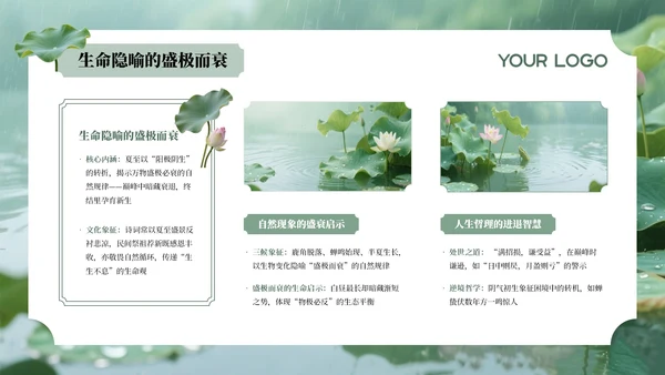 绿色夏至节气介绍通用PPT模板