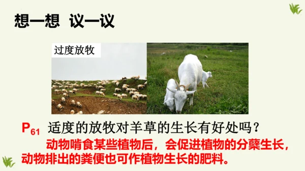 人教版生物八年级上册5.3《动物在生物圈中的作用》课件(共20张PPT)
