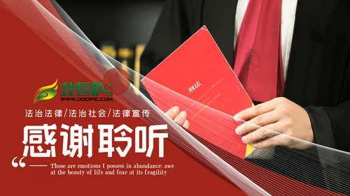 法律法庭工作报告总结汇报PPT模板