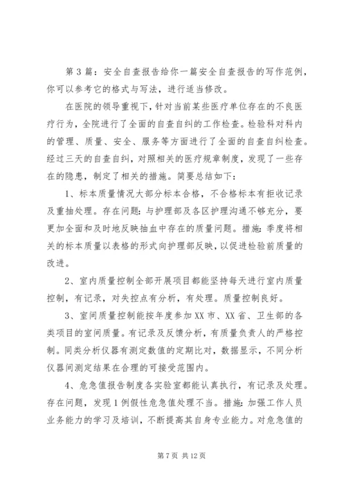 安全自查报告（共6篇） (3).docx