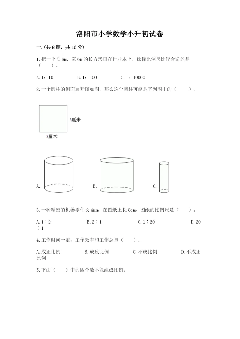 洛阳市小学数学小升初试卷附参考答案（达标题）.docx