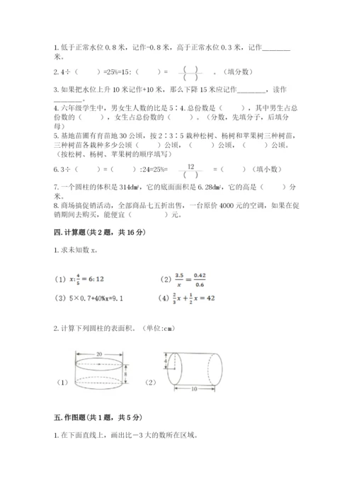 北师大版六年级下册数学期末测试卷【典优】.docx