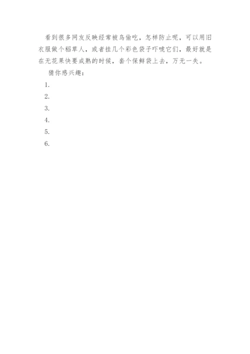 无花果的修剪方法_无花果种植技术.docx