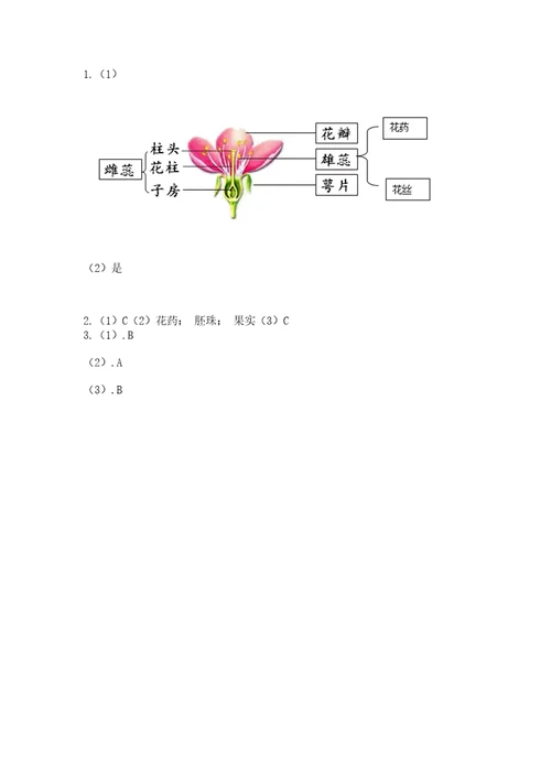 科学四年级下册第一单元植物的生长变化测试卷（重点）