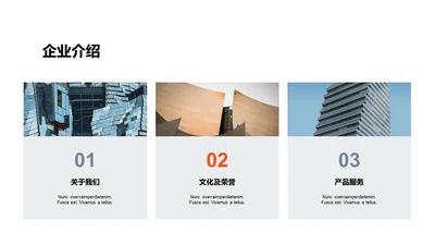 单色扁平3项企业介绍
