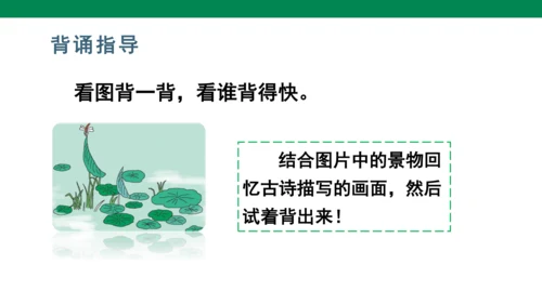 11古诗二首 小池  课件