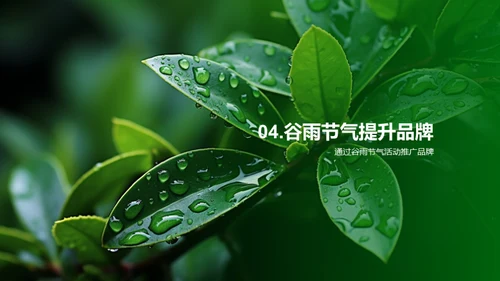 谷雨品牌战略