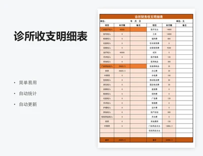 诊所收支明细表