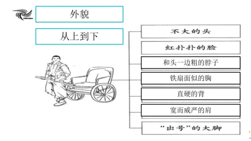 13 人物描写一组   摔跤  课件