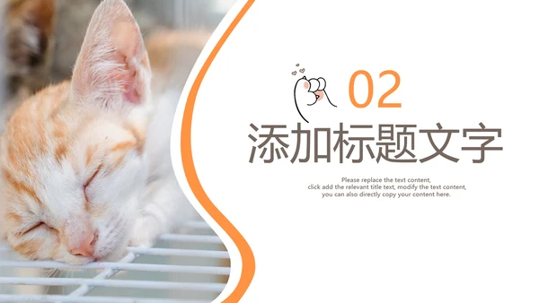 简约风宠物店商业计划书爱宠猫咪PPT模板
