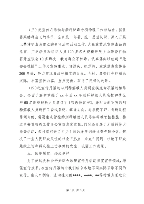 乡镇社会治安综合治理宣传月活动工作总结.docx