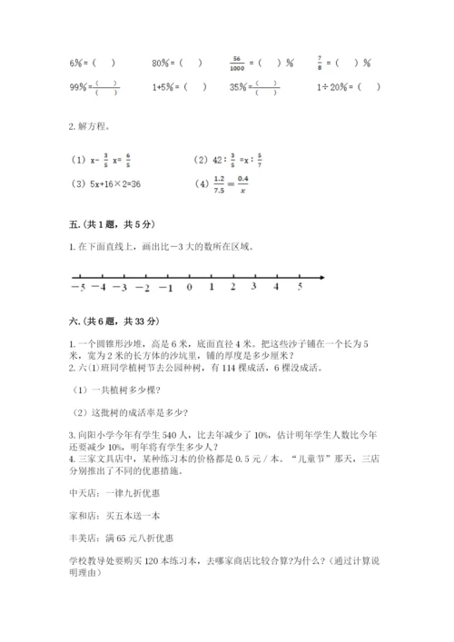 河南省平顶山市六年级下册数学期末测试卷（满分必刷）.docx