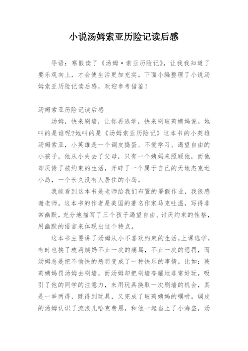 小说汤姆索亚历险记读后感.docx