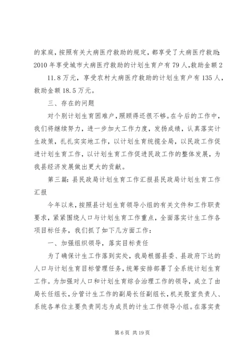 民政局计划生育工作方案.docx