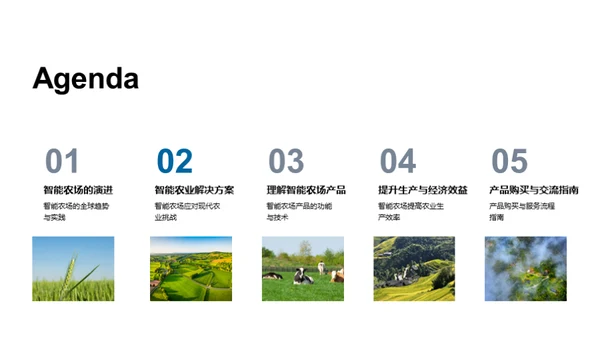 农业革新：智能农场洞察