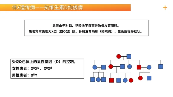 基因学伴性遗传初高中生物PPT课件