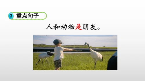 部编版语文二年级上册第二单元复习课件