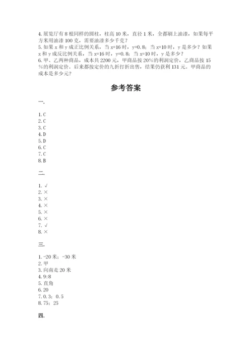 河南省平顶山市六年级下册数学期末测试卷带答案（精练）.docx