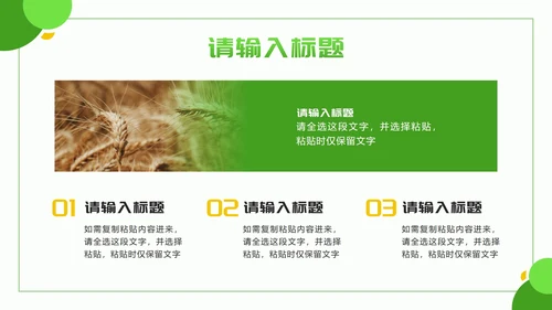 黄绿色几何实景乡村振兴新篇章PPT模板