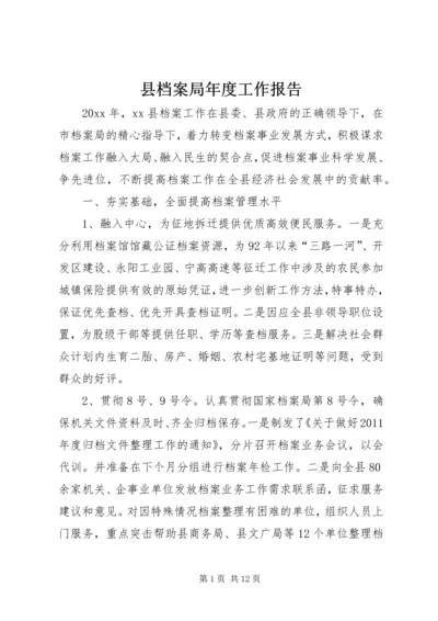 县档案局年度工作报告.docx