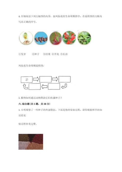 科学四年级下册第一单元植物的生长变化测试卷（综合卷）.docx