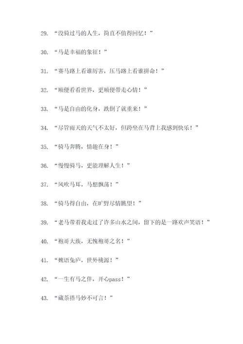 骑马搞笑的口号