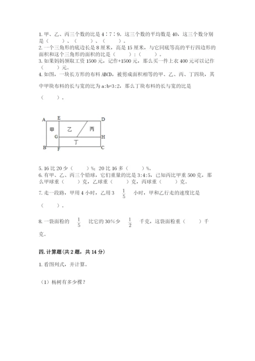 北京版六年级下册数学期末测试卷精品（考点梳理）.docx