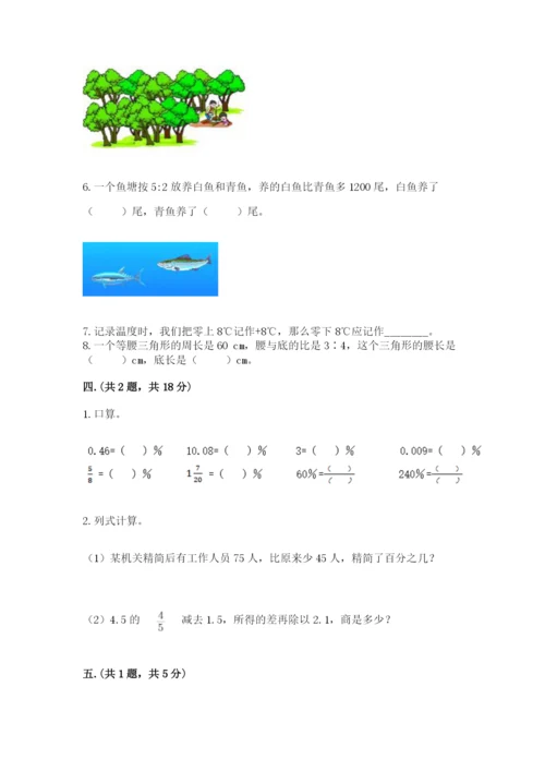 小学数学六年级下册竞赛试题精品加答案.docx