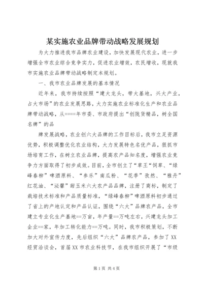 某实施农业品牌带动战略发展规划 (2).docx