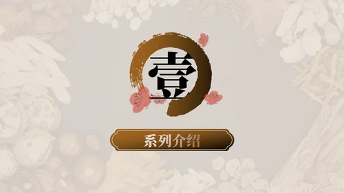 棕色中医药产品介绍PPT模板