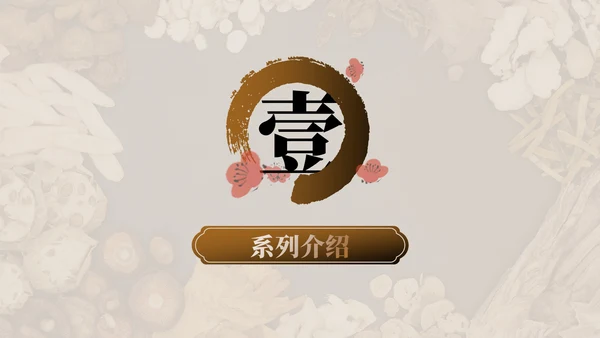 棕色中医药产品介绍PPT模板