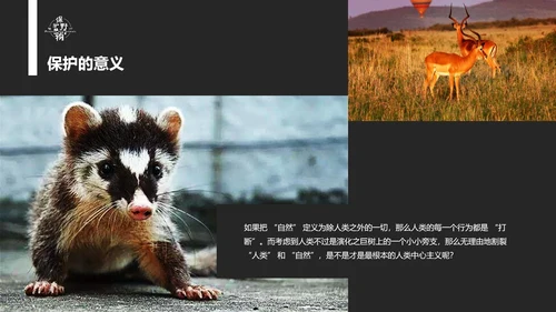 保护野生动物老虎PPT模板