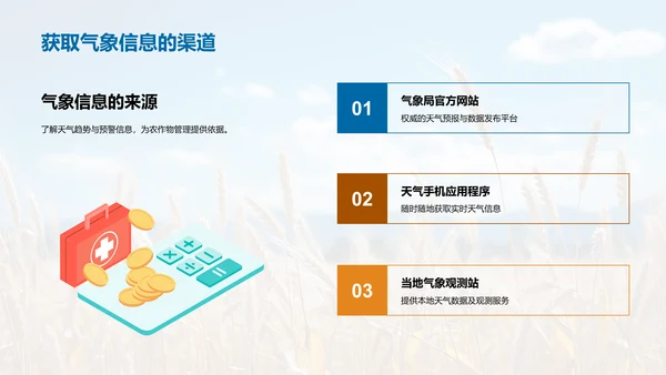 大暑气候对农业的影响