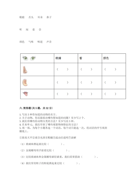 教科版一年级下册科学期末测试卷含答案【巩固】.docx