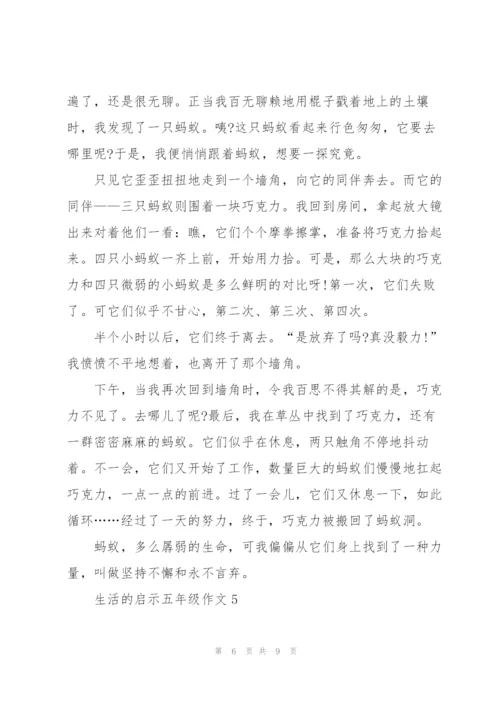 生活的启示五年级作文6篇.docx