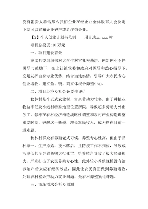 个人创业计划书的范例.docx