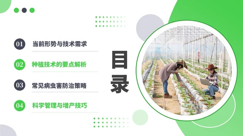 绿色商务风现代农业种植技术PPT模板