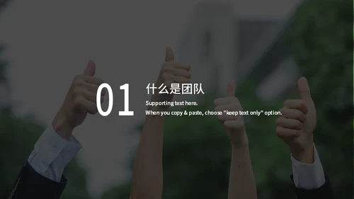 高级企业管理培训团队建设通用PPT模板