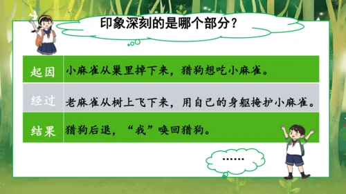 16 麻雀   课件