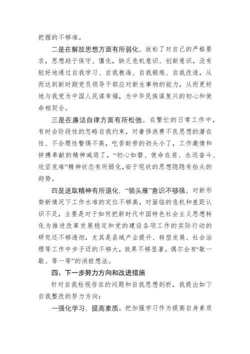 2019112808县长主题教育民主生活会个人检视剖析材料.docx